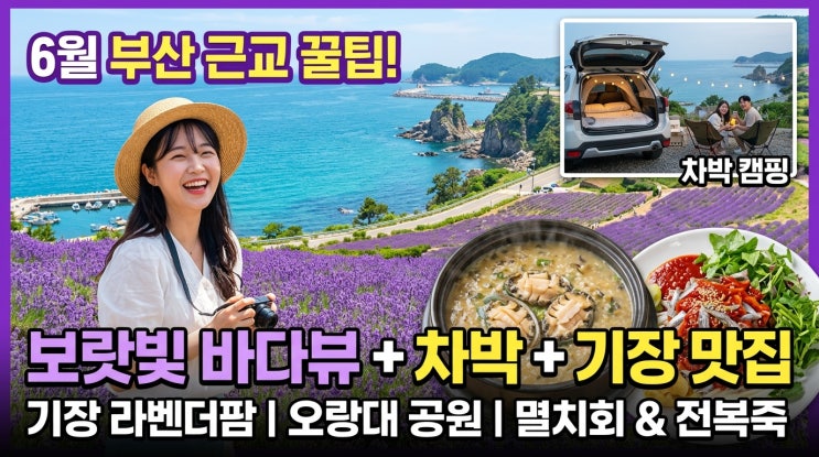  [6월 부산 근교 여행] 보랏빛 오션뷰 + 차박 + 기장 미식까지 — 기장 라벤더팜·오랑대공원·대변항 멸치·연화리 전복죽 완벽 코스