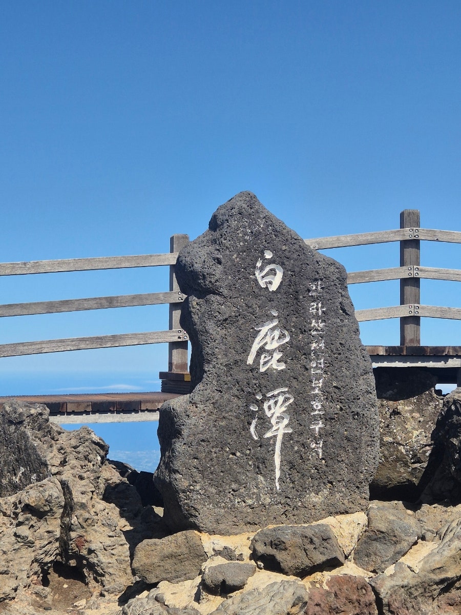 독새기김밥 사진 1