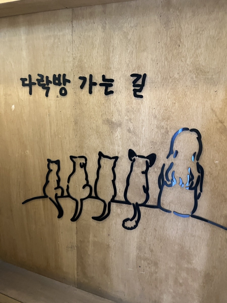 모모의다락방 사진 2