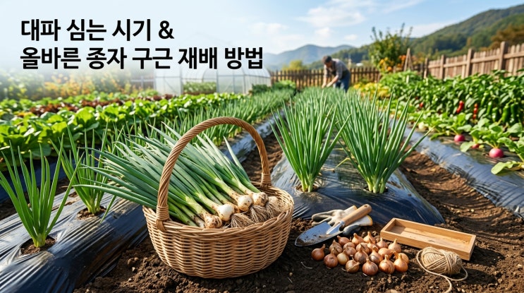 쪽파 심는 시기 및 종구 파종 시기 재배법