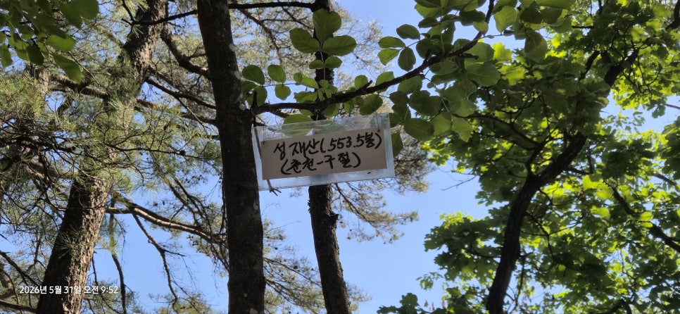 성재산 사진 6