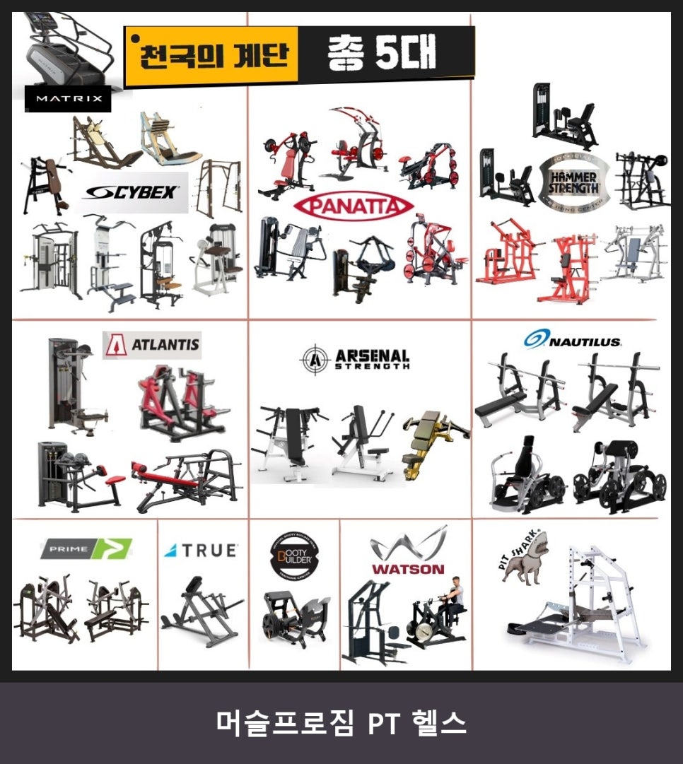 머슬프로짐 사진 3