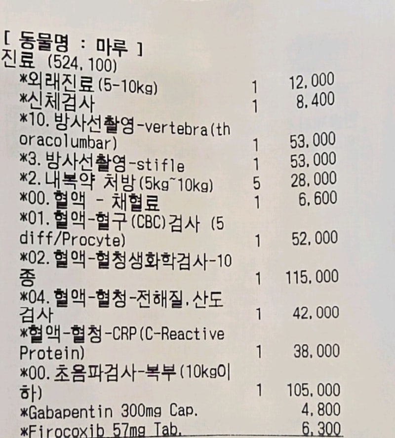 강아지 쿠싱증후군 검사 비용까지 총정리