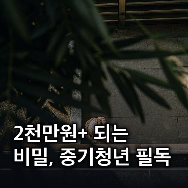  청년미래적금 조건: 3년 만기 2천만원+, 중소기업 우대 총정리