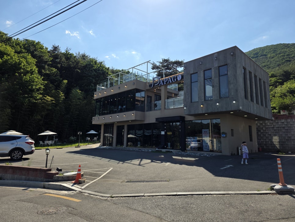 더 파파고 사진 5