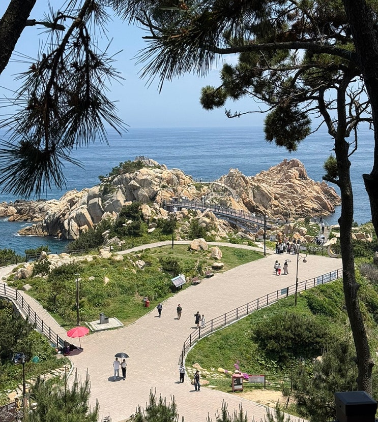 5/16~31 일상 모음 : 먹짱의 울산 여행 그리고 일상 모음