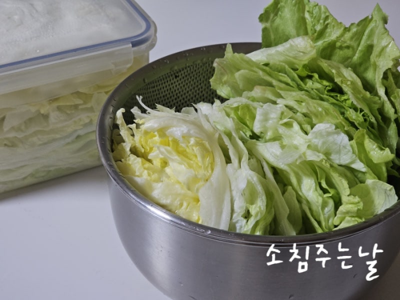 양상추 손질법 오래 보관하는법