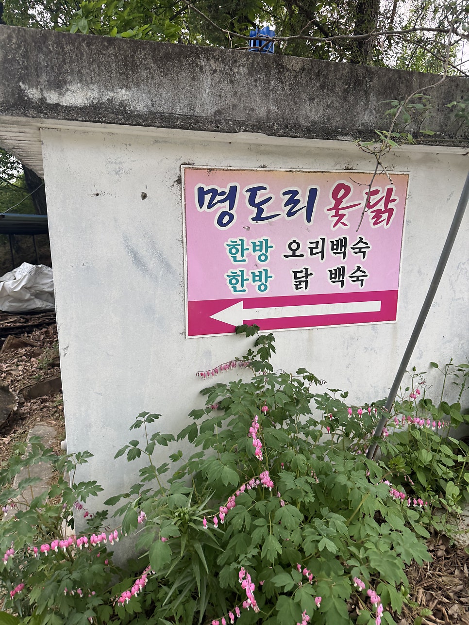 명도리옻닭백숙 사진 1