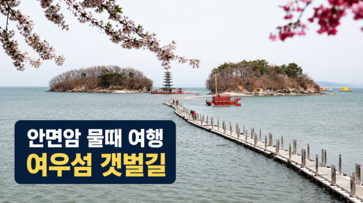  태안 안면암 물때 맞춰 걷는 갯벌길, 여우섬·부상탑 방문팁