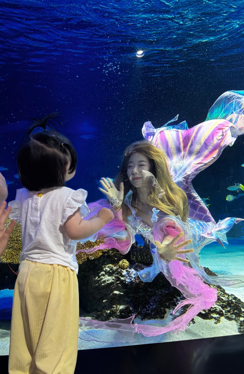 수원 광교 아쿠아플라넷 15개월 아기랑 광교 아쿠아리움 시설 주차 할인 머메이드쇼 펭귄설....