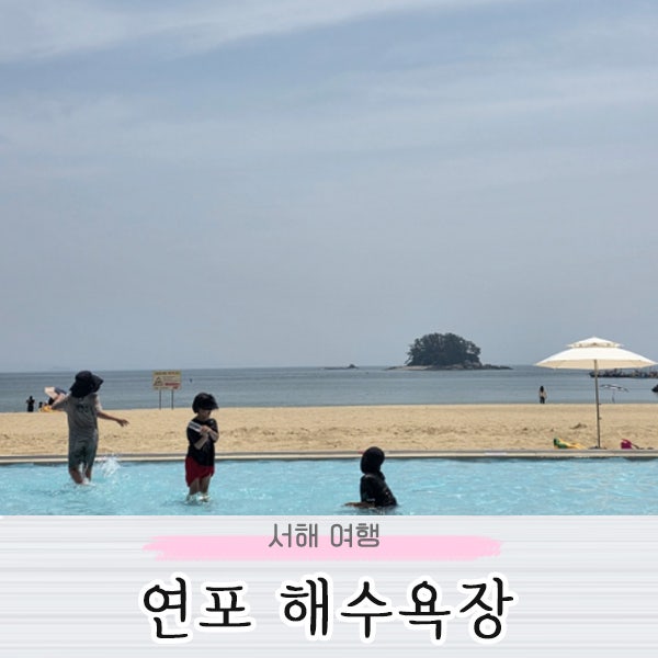 서해 태안 여행 연포해수욕장 차박 캠핑장 해루질