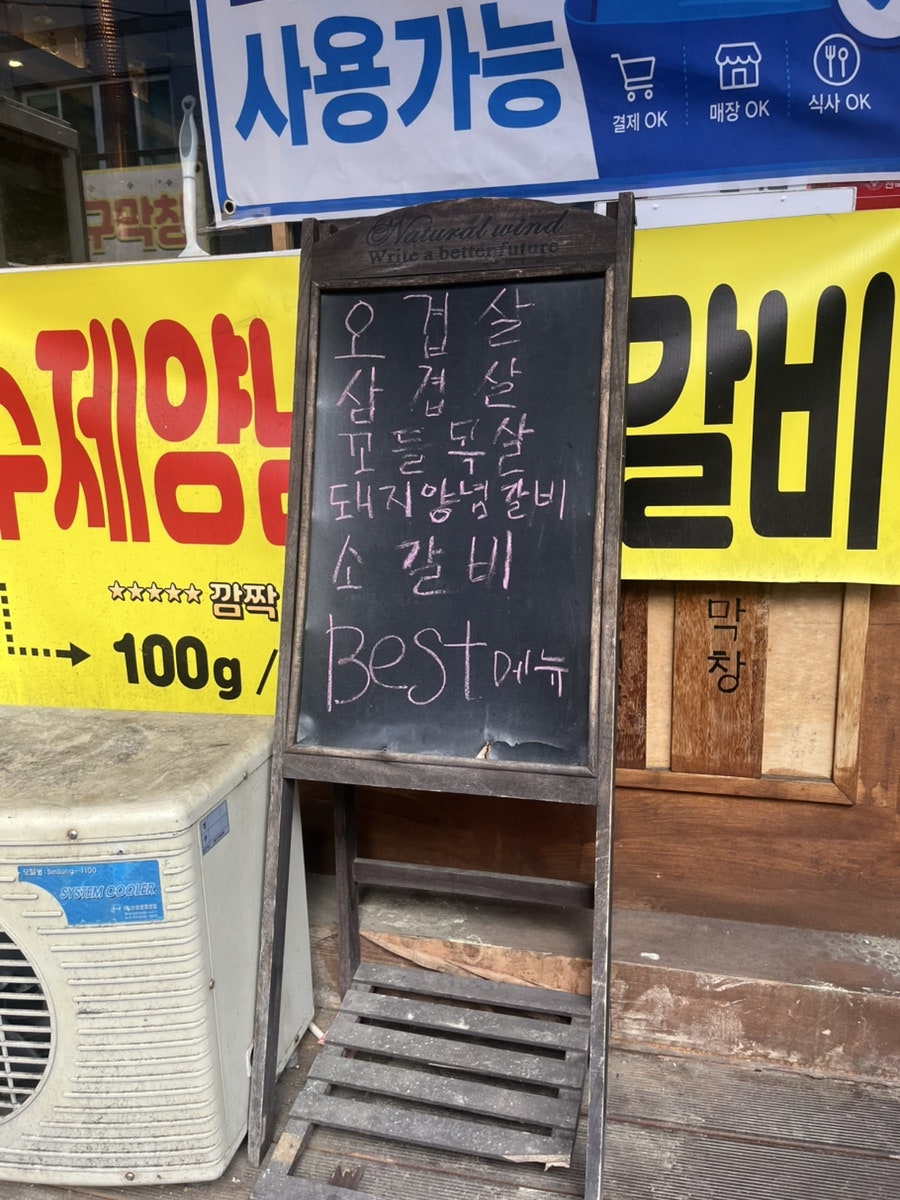 돼바라기 사진 4
