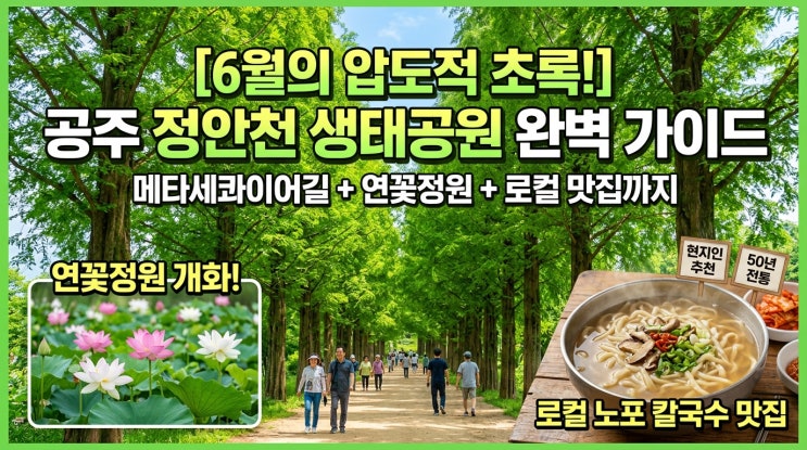  [공주 정안천 생태공원] 6월의 압도적 초록 터널 메타세쿼이아길 + 연꽃 정원 선점 + 현지인 칼국수 노포 완벽 가이드
