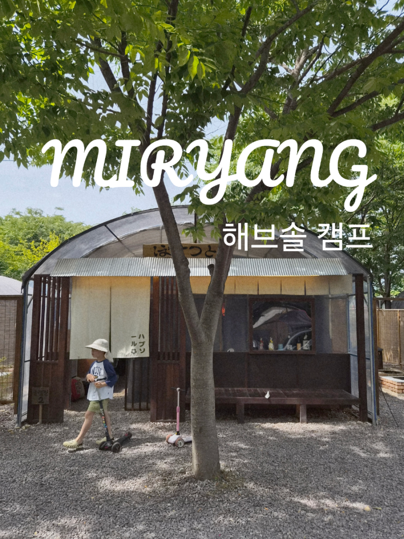 아이랑 밀양여행/ 일본 감성 숙소 밀양 해브솔 글램핑2번 1박2일 후기