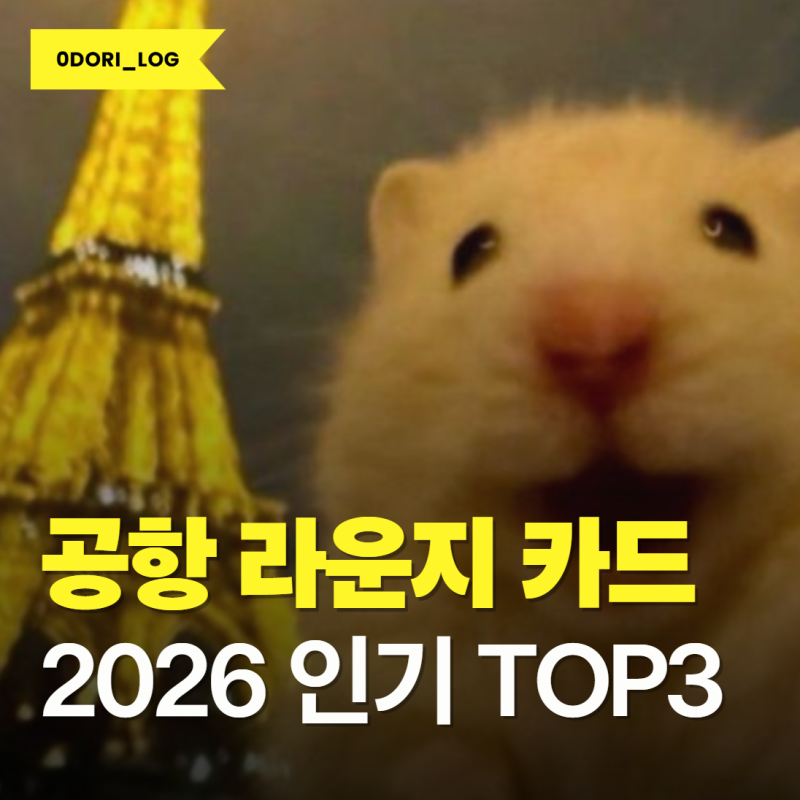 공항 라운지 PP카드 추천! 2026년 가장 인기 많은 카드 TOP3