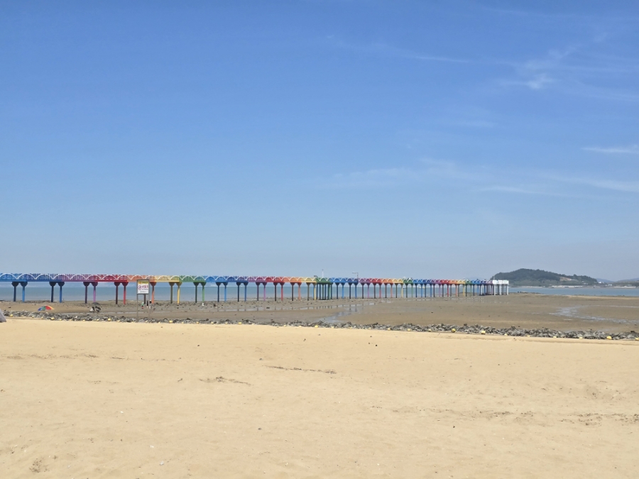 송계 송림숲 해변 사진 5
