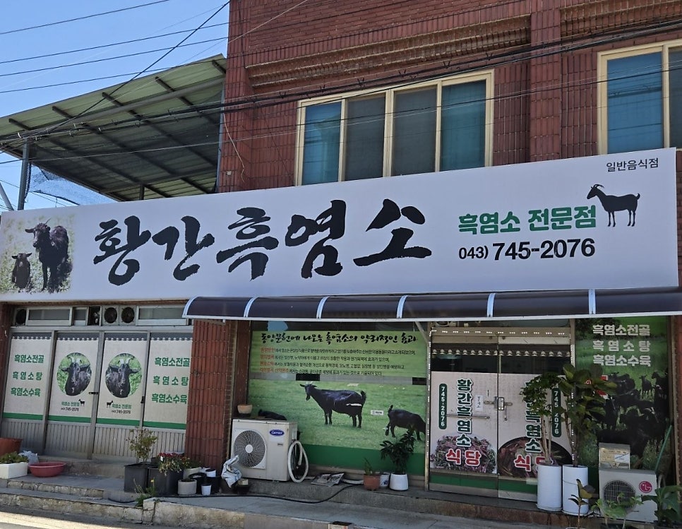 황간흑염소 사진 1