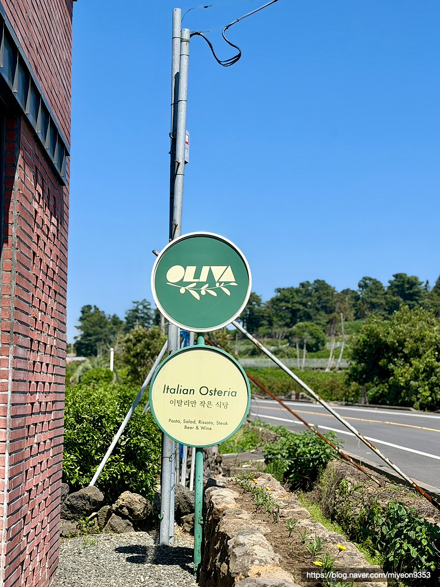 올리바 사진 2