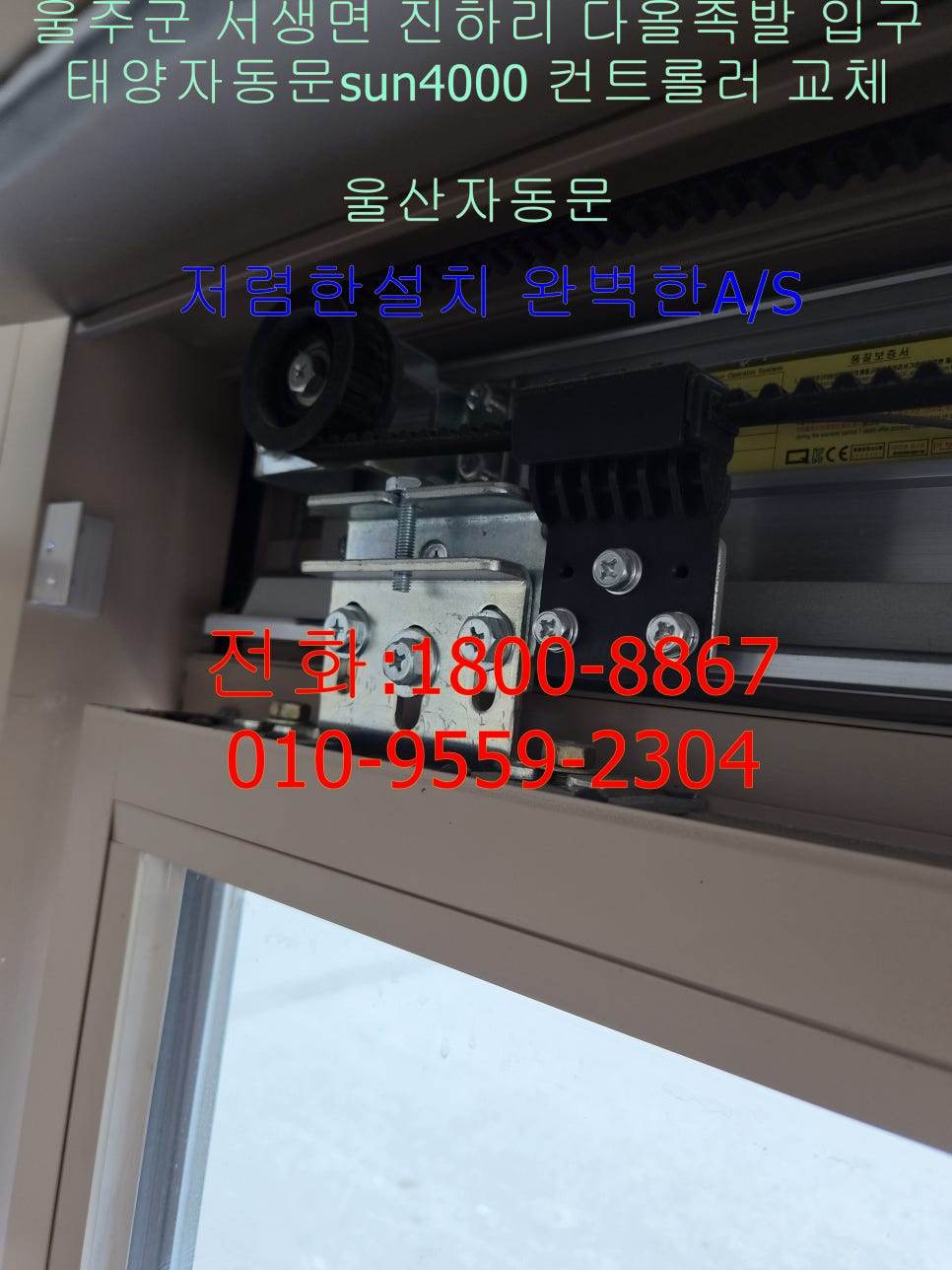 다올족발 사진 5