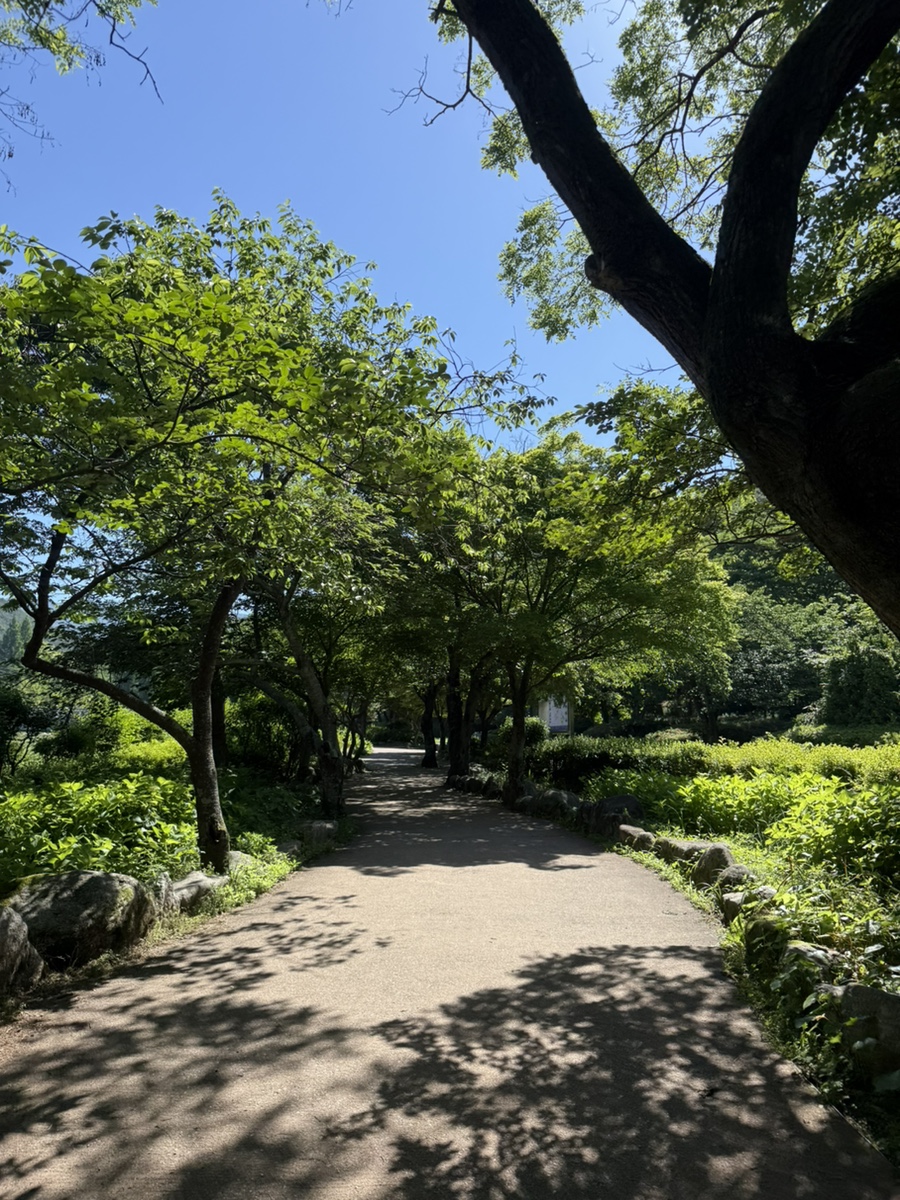 조가네갑오징어 금산사점 사진 5