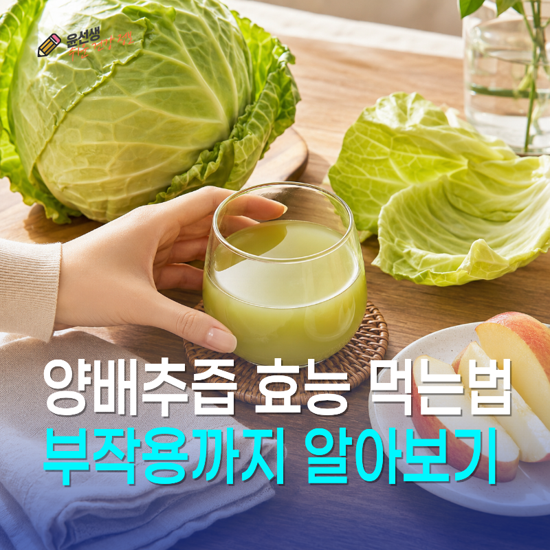 양배추즙 효능과 먹는법, 속쓰림 있을 때 부작용까지 알아보기