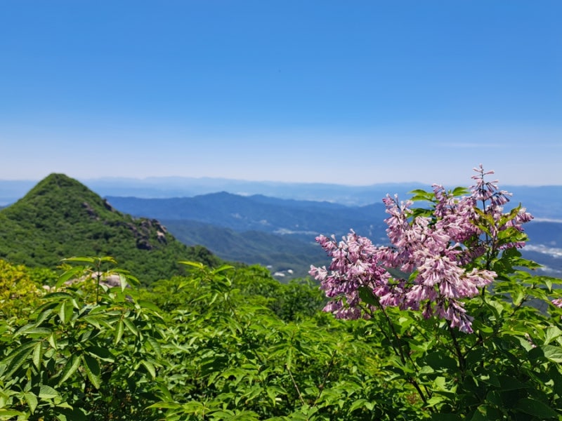 대구 팔공산 국립공원