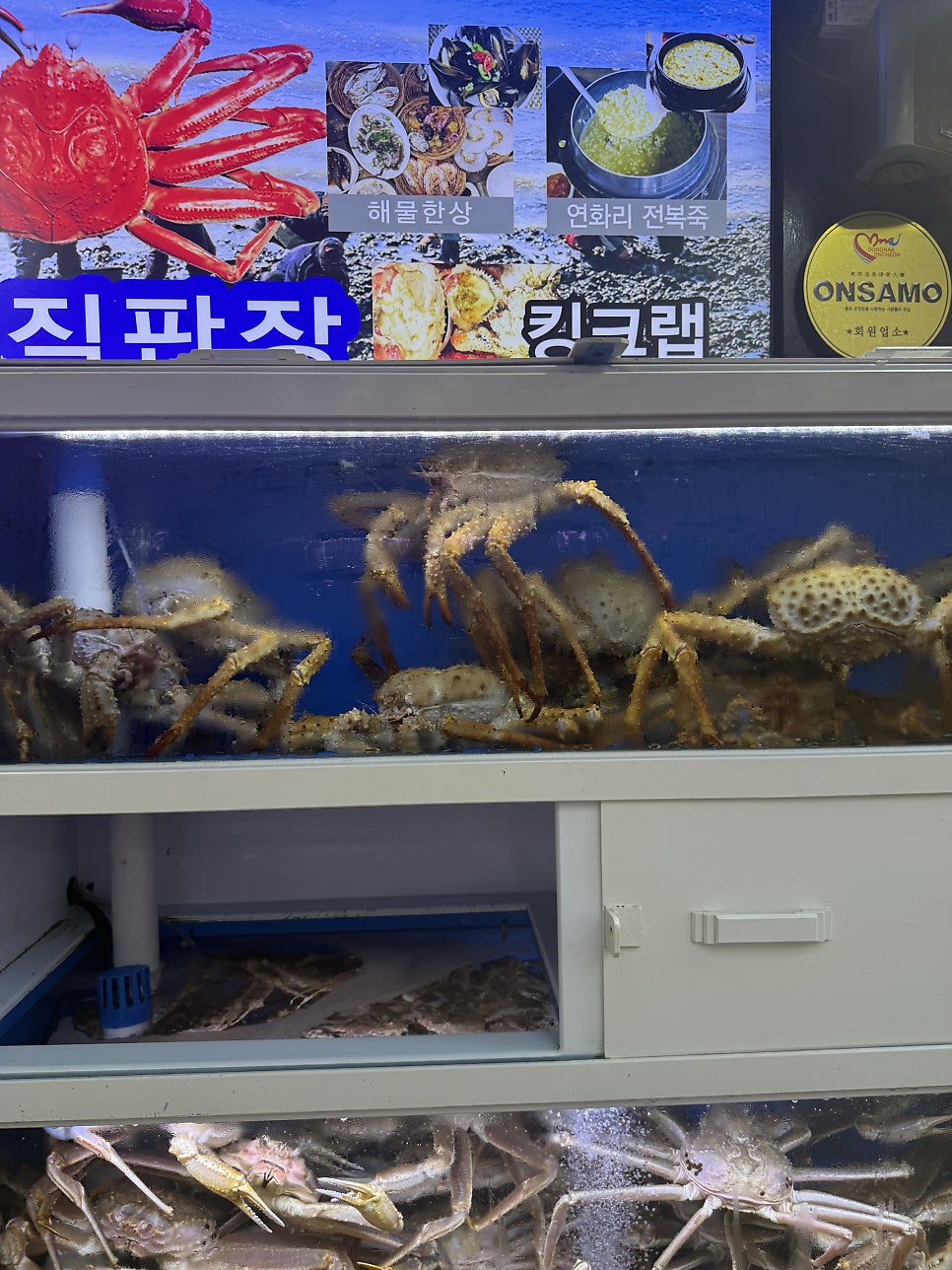 연화리대게 사진 4