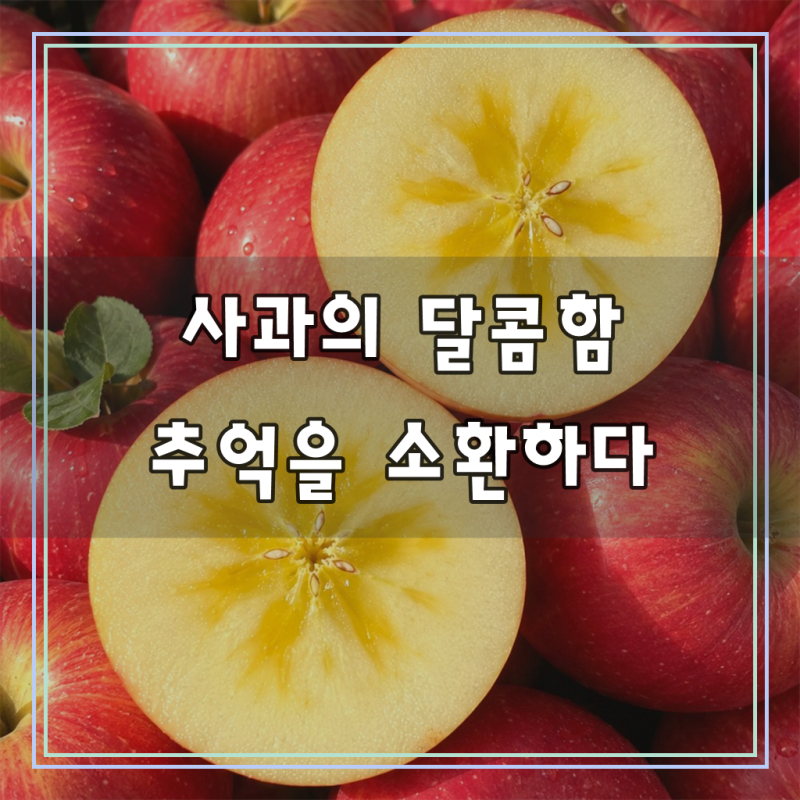 [100박스 반짝특가] 경북직송 고당도Birx 꿀사과, 1세트, 3kg 특가, 입안 가득 퍼지는 황홀한 단....