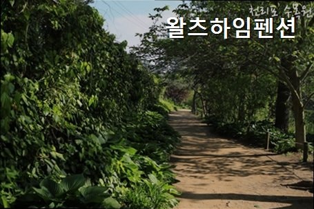 왈츠하임펜션 사진 1