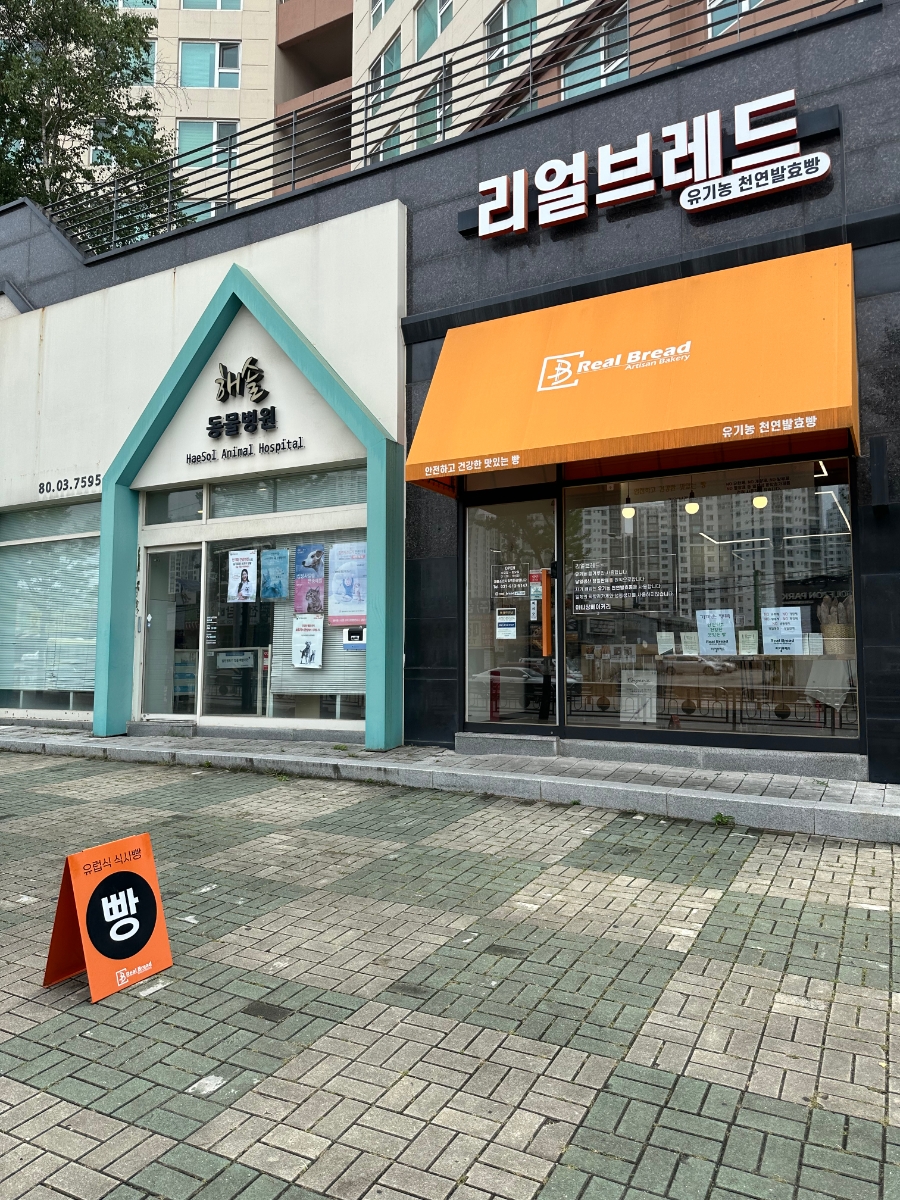 리얼브레드 사진 1