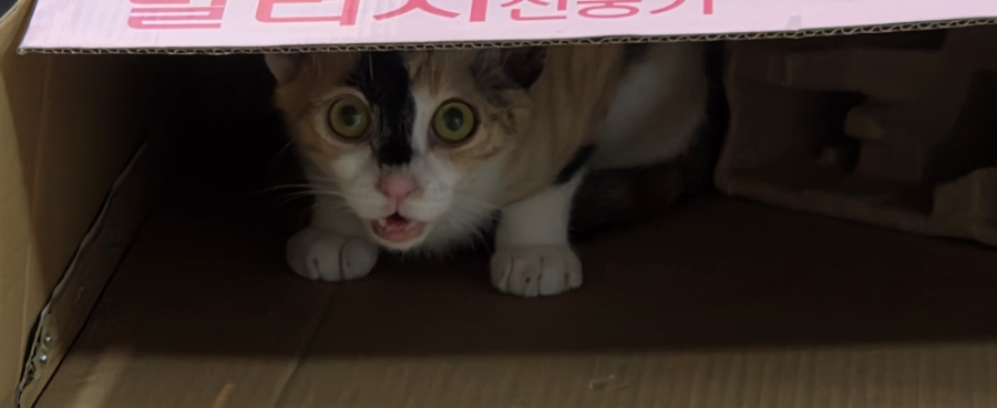 중문동물병원 사진 3