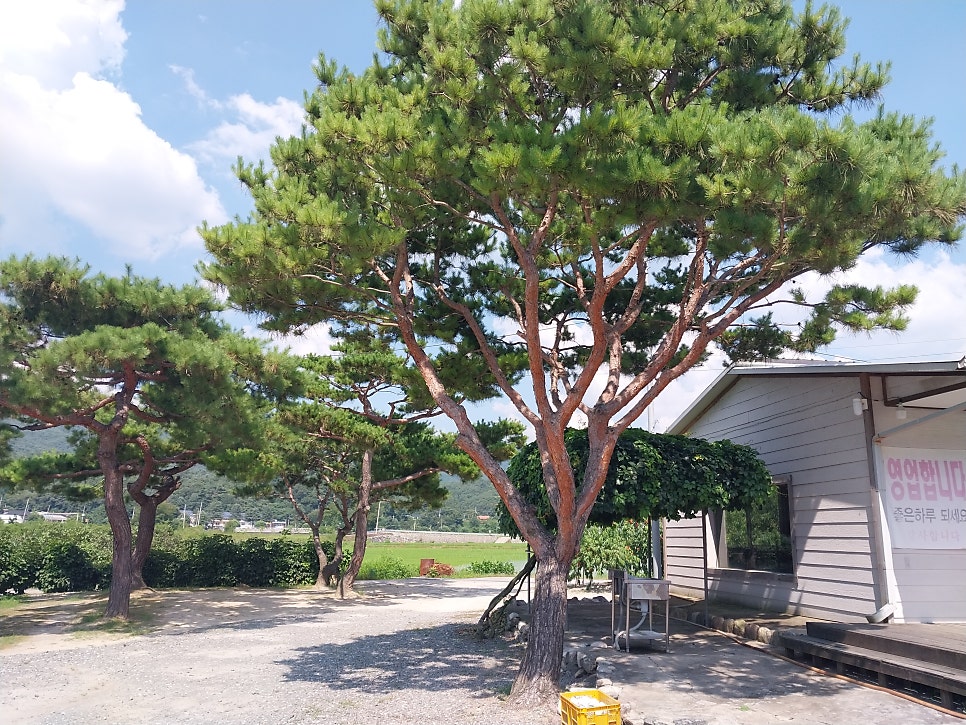 막골막국수 사진 1