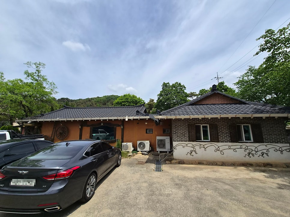 사나산아 사진 2