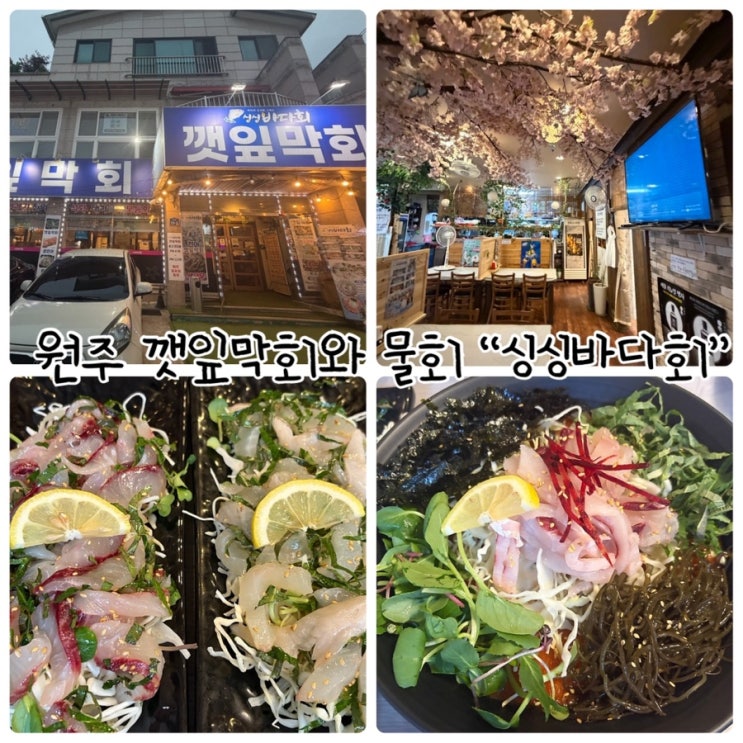 원주 물회 맛집 "싱싱바다회" 깻잎막회와 물회 먹고 왔어요
