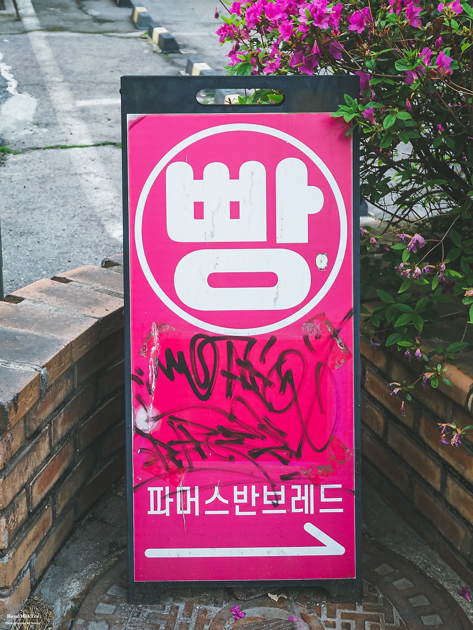 파머스반브레드 사진 2