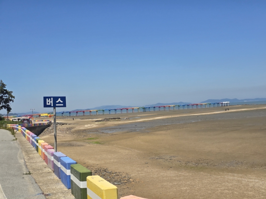 송계 송림숲 해변 사진 1