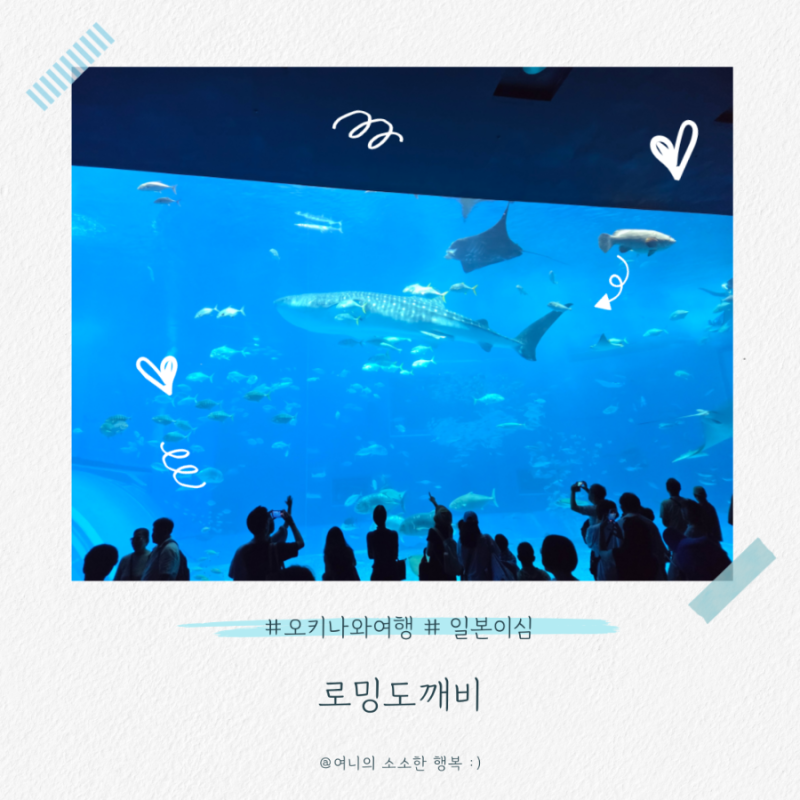 일본 이심 추천 무제한 로밍도깨비 후기 로깨비톡 사용 5월 6월 오키나와 날씨 옷차림 참고