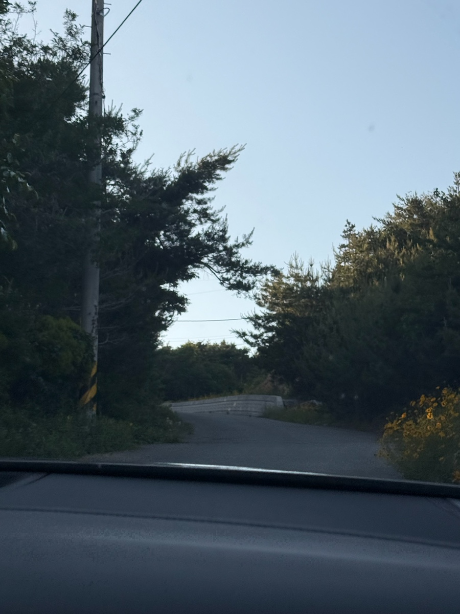 코델리아 사진 2