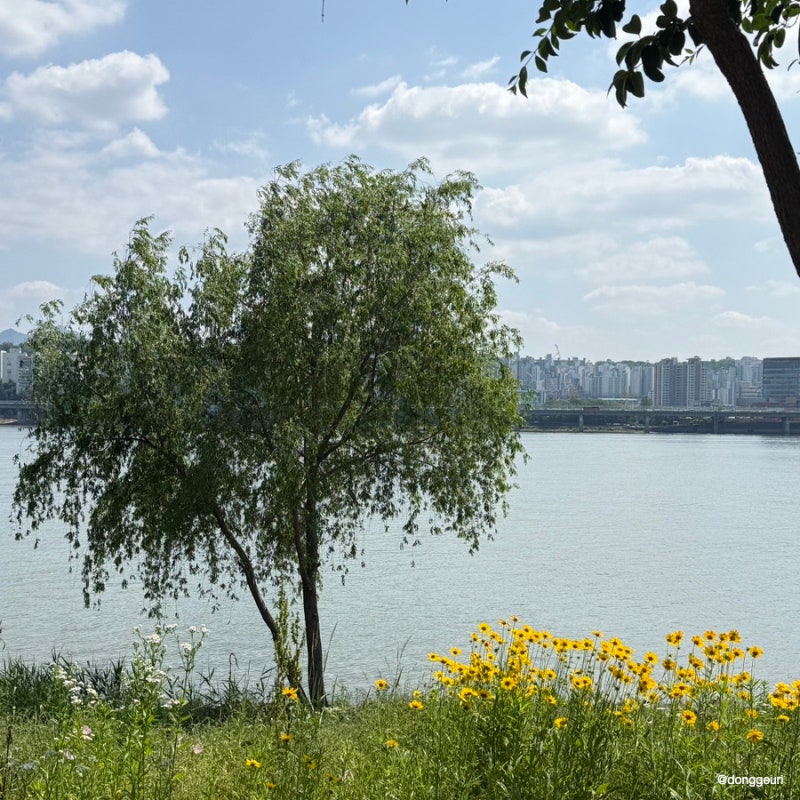 Ichon Hangang Park Picnic Spot Recommendations: Near CU Convenience Store Delivery Zone