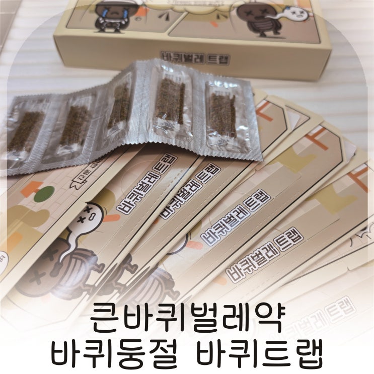  오래된 주택 바퀴벌레 퇴치, 큰바퀴벌레약 바퀴둥절 바퀴트랩 추천