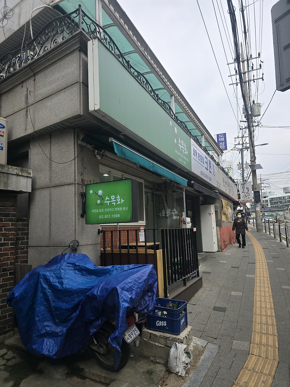 수목화 사진 2