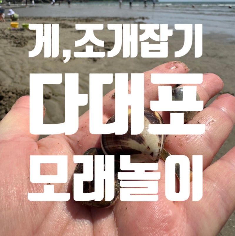 다대포해수욕장 주차장 정보 해루질 게잡기 조개캐기 어린이물놀이 후기