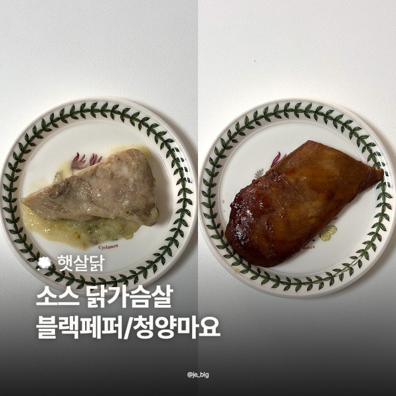 햇살닭 소스 닭가슴살 블랙페퍼 청양마요 후기