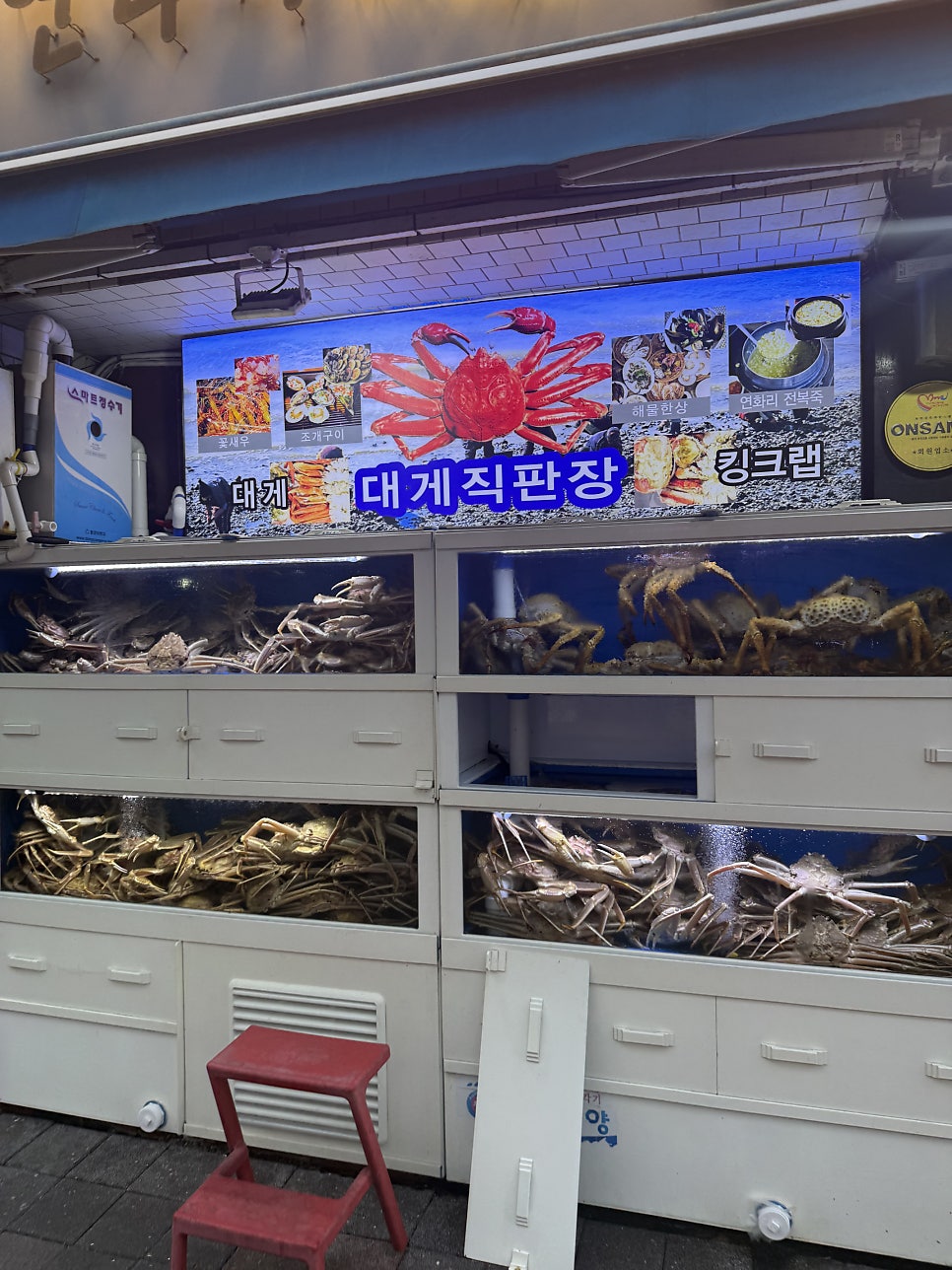 연화리대게 사진 3