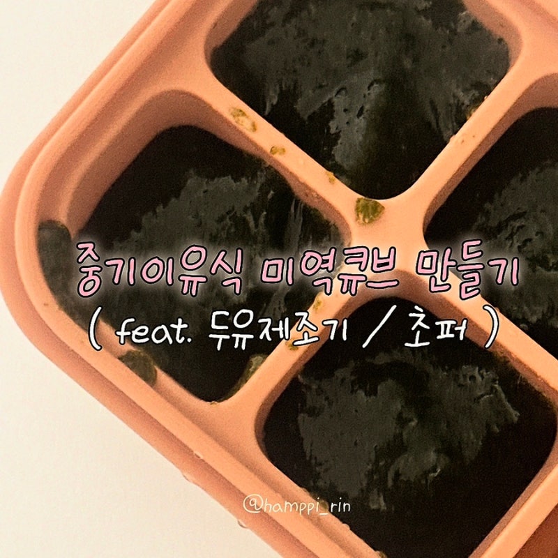 중기이유식 미역큐브 만들기 두유제조기 초퍼 입자감