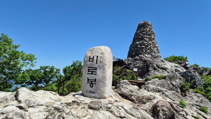 [블랙야크 100대 명산] 치악산 비로봉 등산 후기｜부곡탐방지원센터 코스 초보추천 진드기주....