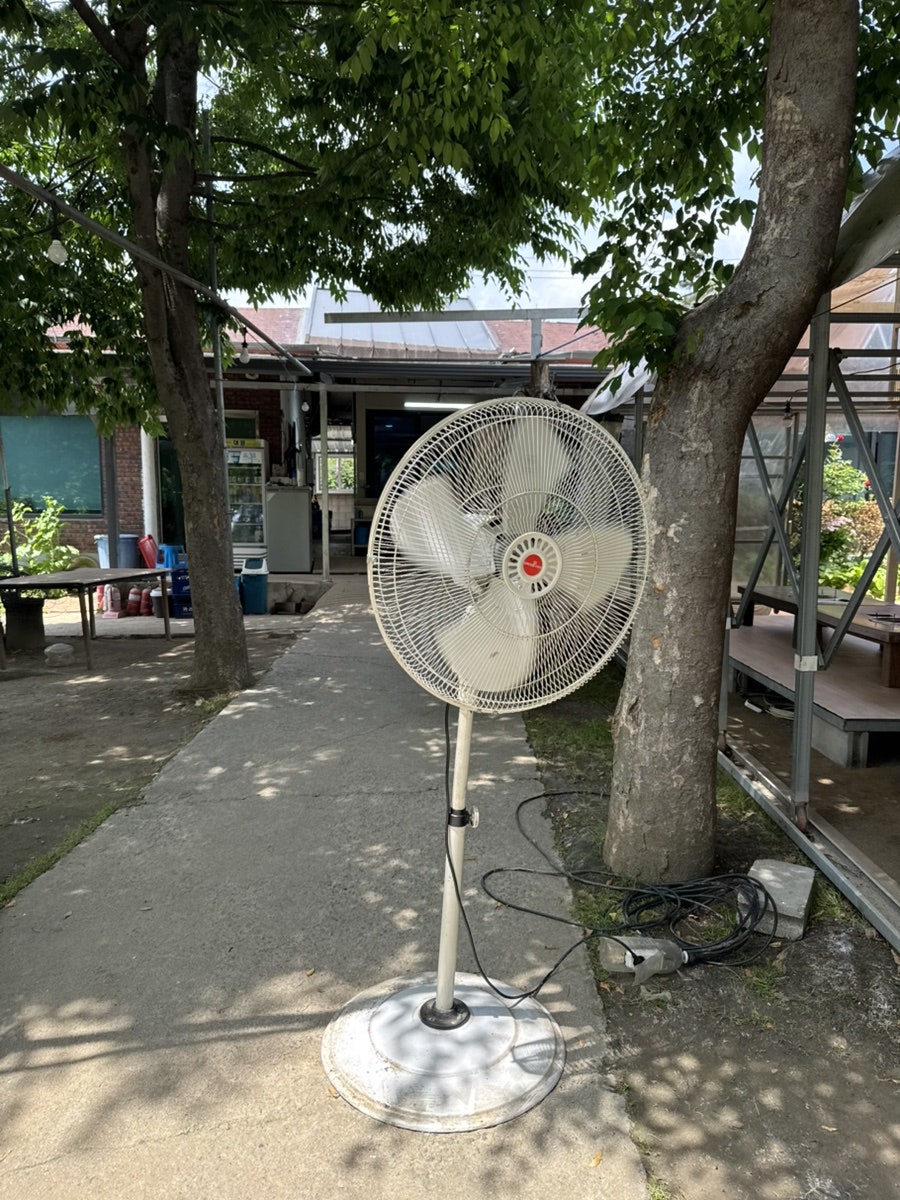 안골종가집 사진 4