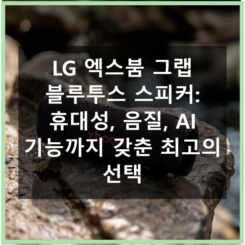 LG 엑스붐 그랩 블루투스 스피커 가격 대비 훌륭한 만족도