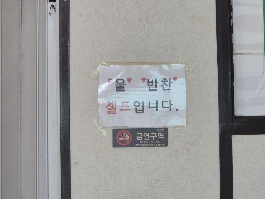 다밀 사진 5