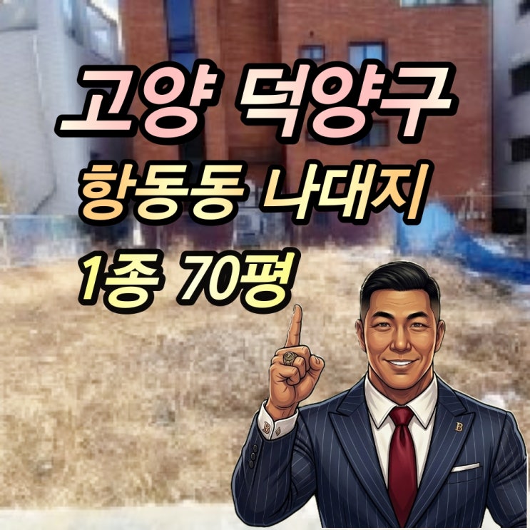  고양시 항동동 대지 경매 70평 2025타경62024